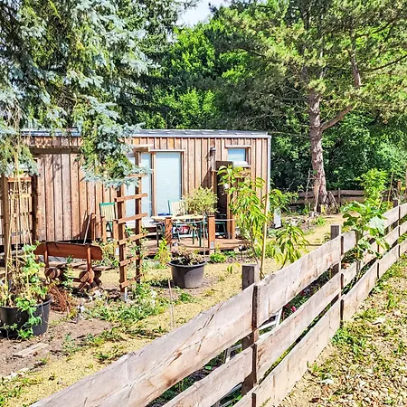 Tiny House Herbert By Interhome Hainewalde